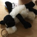 유민약국 이미지