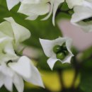 한우리약국 이미지