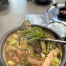 고산흑염소 이미지