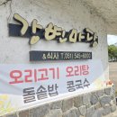 강변오리 이미지