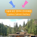 대신부화장 네이버블로그