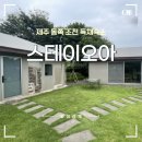 스테이오아 이미지