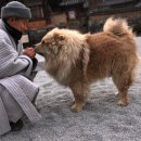 차오차오 - 하남시 신장동로 37 | 차오차오