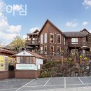 숲속의아침2 이미지