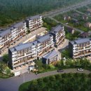 강정동-56 이미지