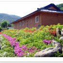 솔나리펜션