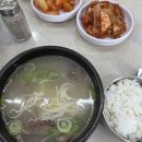 닥터조치과기공소 | 사란니 주건니 여태 사랑니