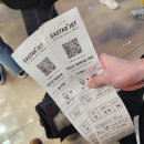우진크리닝 | 제주도 애견동반 여행_1 (이스타항공, 제주가성비렌트카 썬렌트카, 우진해장국, 감귤닭강정 아방닭강정)