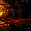 개나리아파트 놀이터 이미지