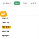 목동 식물 분갈이 추천 현대백화점 목동 보타닉랩 스노우사파이어 분갈이 후기
