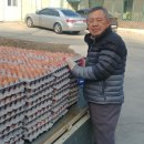 송오농장 중부매일