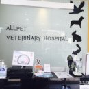 올펫 동물병원 이미지