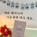 구르미맘마 이미지