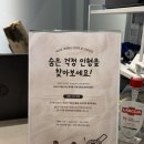 마방로4길 15-60 | 서울 홍대 실내 이색 데이트 4233마음센터 연남점 내돈내산 솔직후기