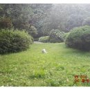 OK114공인중개사사무소 이미지