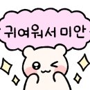 마스터세탁 이미지