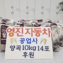 영진공업사 이미지