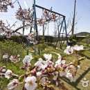 탄도민박 이미지