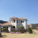 오즈공인중개사사무소 이미지