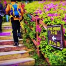 대야행복한어린이집 이미지