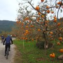 정금마을 차밭 앞 이미지