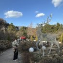 반려동물과함께하는#설렘 이미지