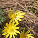 동미농장 이미지