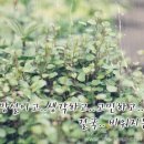 아사삭