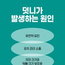 횡성치과의원 이미지