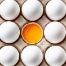 [겨울]생각톡과학실험B 이미지