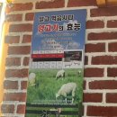 천리향양꼬치구이늑대와양양꼬치구이