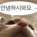 오늘하루가 전대후문점 이미지