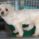 남해안대로 이미지