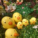 THE SPRING 이미지