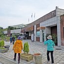 10/30 수목원투어(줄포만 노을빛향기수목원+바다향기수목원)+역사문화대장정(전봉준 유적지) 이미지