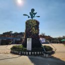 국화황토공원 | 고북 국화작품 전시회 &amp; 황토알타리 직거래 장터 방문 후기