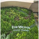 챌린지 호텔 | 웨스틴 서울 파르나스 호텔 투숙 후기, 객실 소개 - 국내여행 - 2025 왓츠인마이블로그 챌린지