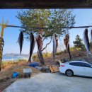 살구나무집민박 이미지