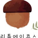 리틀에이콘스