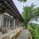 RE:- 20년전인 2005년 10월 21(금)~23(일) 첫 눈이 내린 발왕산과 도암댐 그리고 오대산 산행일지! 이미지