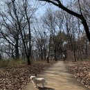 연수베스트내과의원 이미지