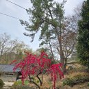 석문산(용문사) 등산로 이미지