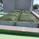 유라빌딩 이미지