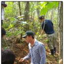 코리아농장 이미지