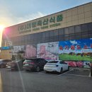대명축산 | 김포 정육점 대형축산마트 대명축산식품 내돈내산 방문후기