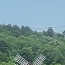 양평목장 이미지