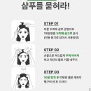 에코레비