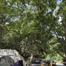 함허동천 야영장 | 인천 강화 함허동천야영장 후기 당일치기 캠핑 정보와 야영장