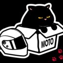 크레이지모토박스