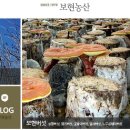 보현농산